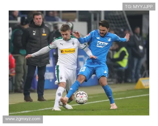 [德甲]第16轮：霍芬海姆3-3达姆施塔特 集锦.